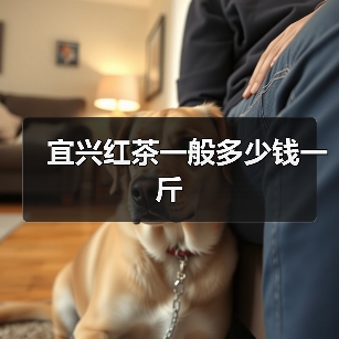宜兴红茶一般多少钱一斤(图3) 宜兴红茶一般多少钱一斤(图3)