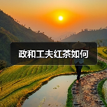 政和工夫红茶如何(图4) 政和工夫红茶如何(图4)