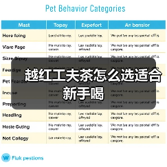 越红工夫茶怎么选适合新手喝(图3) 越红工夫茶怎么选适合新手喝(图3)