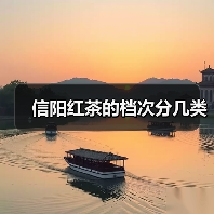 信阳红茶的档次分几类(图4) 信阳红茶的档次分几类(图4)