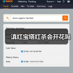 滇红宝塔红茶会开花吗(图1) 滇红宝塔红茶会开花吗(图1)