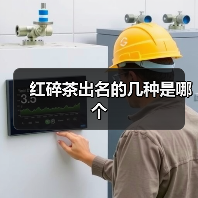 红碎茶出名的几种是哪个(图3) 红碎茶出名的几种是哪个(图3)