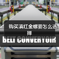 购买滇红金螺要怎么选择(图2) 购买滇红金螺要怎么选择(图2)