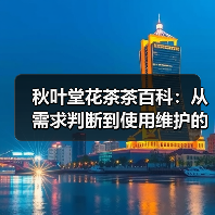 秋叶堂花茶茶百科:从需求判断到使用维护的全攻略(图2) 秋叶堂花茶茶百科:从需求判断到使用维护的全攻略(图2)