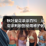 秋叶堂花茶茶百科:从需求判断到使用维护的全攻略 秋叶堂花茶茶百科:从需求判断到使用维护的全攻略