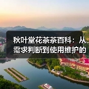 秋叶堂花茶茶百科:从需求判断到使用维护的全攻略(图4) 秋叶堂花茶茶百科:从需求判断到使用维护的全攻略(图4)