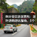 秋叶堂花茶茶百科:茶叶选购避坑指南,5个核心方法让你不再踩坑(图4) 秋叶堂花茶茶百科:茶叶选购避坑指南,5个核心方法让你不再踩坑(图4)