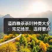 道韵雅茶茶叶种类大全:常见场景、选择要点与注意事项 道韵雅茶茶叶种类大全:常见场景、选择要点与注意事项