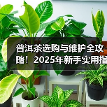 普洱茶选购与维护全攻略!2025年新手实用指南(图1) 普洱茶选购与维护全攻略!2025年新手实用指南(图1)