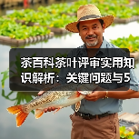 茶百科茶叶评审实用知识解析:关键问题与5大方法(图2) 茶百科茶叶评审实用知识解析:关键问题与5大方法(图2)