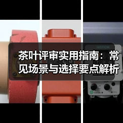 茶叶评审实用指南:常见场景与选择要点解析(图3) 茶叶评审实用指南:常见场景与选择要点解析(图3)