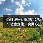 茶叶评审行业应用分析:趋势变化、实用方法与服务建议(图3) 茶叶评审行业应用分析:趋势变化、实用方法与服务建议(图3)