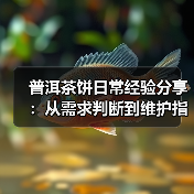 普洱茶饼日常经验分享：从需求判断到维护指南（图1）